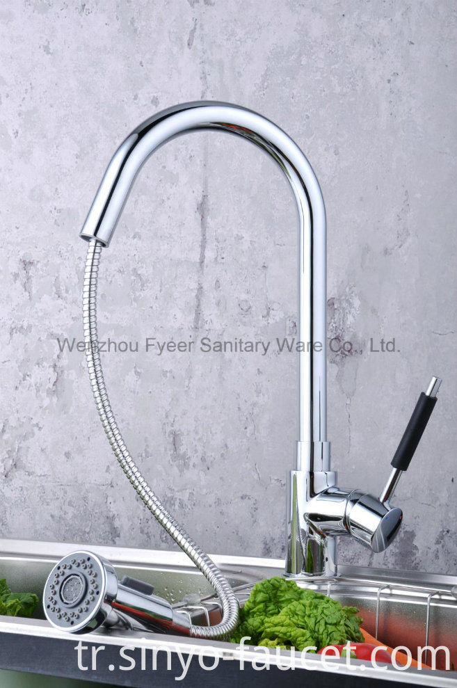 Pull out Spray Brass Kitchen Sink Faucet (QH0784)